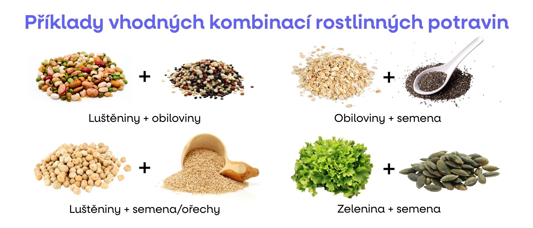 vhonde kombinace bilkoviny